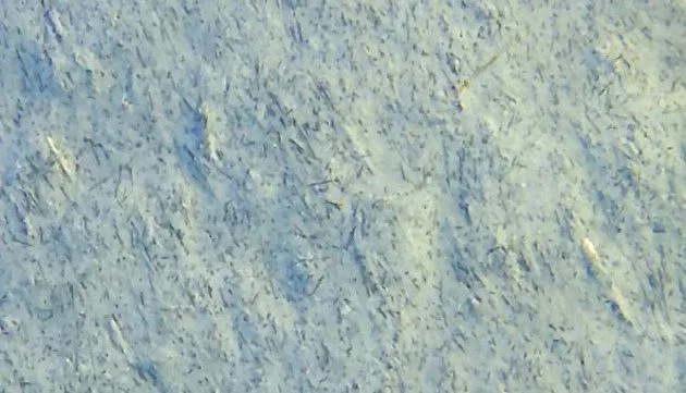 CeramycGuard ceramic concrete coating under magnification, sealed non-porous surface